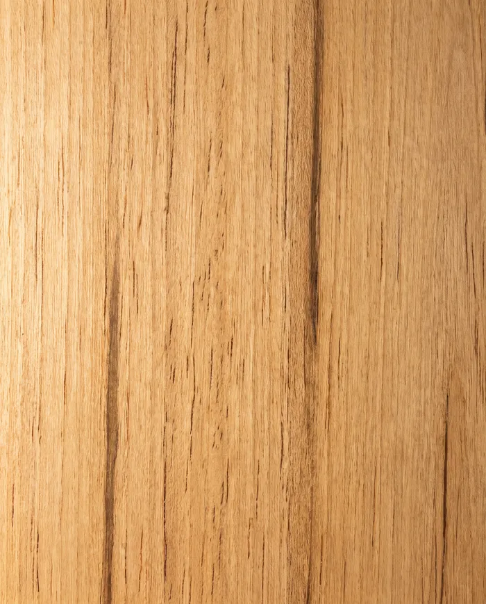 Oiled marri, close up