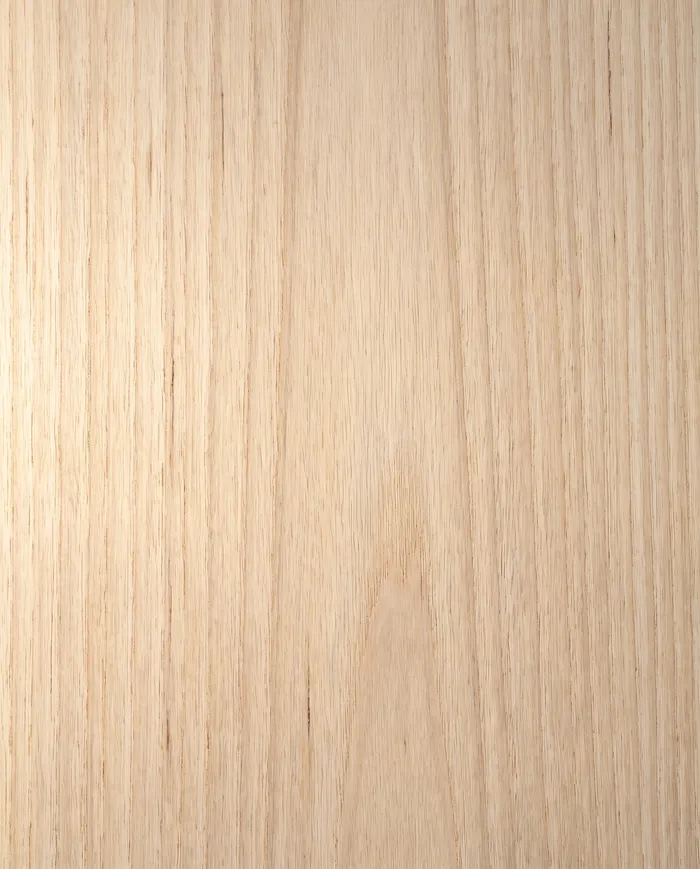 Oiled Tasmanian oak, close up