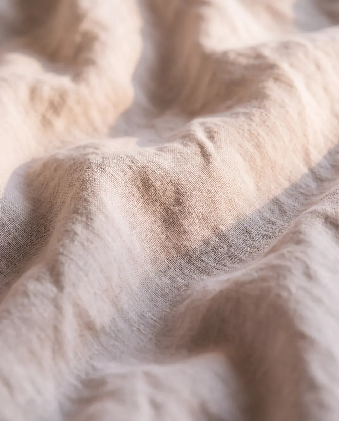 The weave, macro
